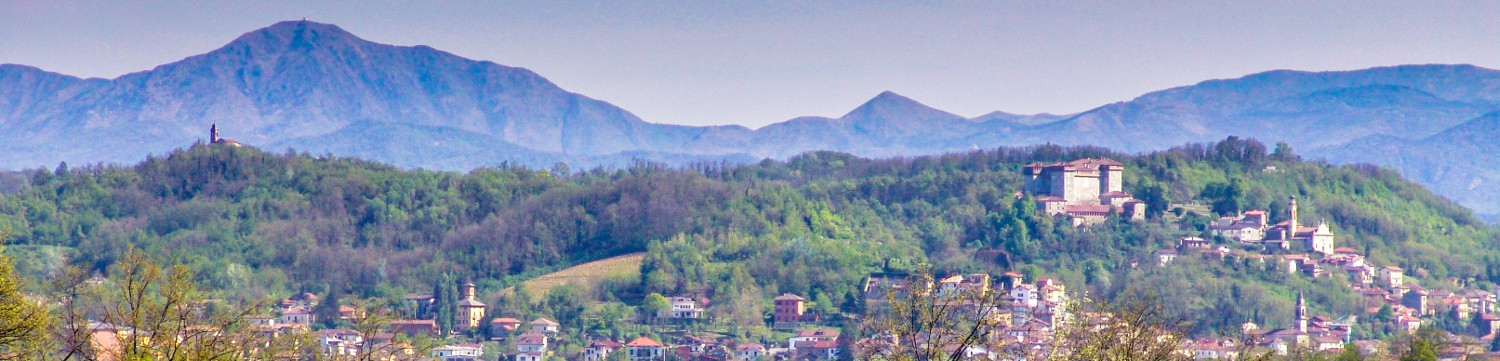 Associazione Culturale «Circolo Dialettale Silvanese "Ir Bagiu"»